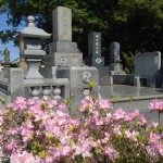 写真 2013-05-02 14 33 36